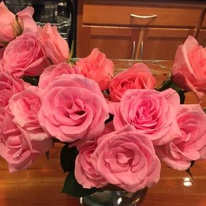 Meet your Posher, Maricarmen